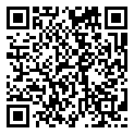 Go Dashcam app