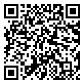 航空大亨AT Online